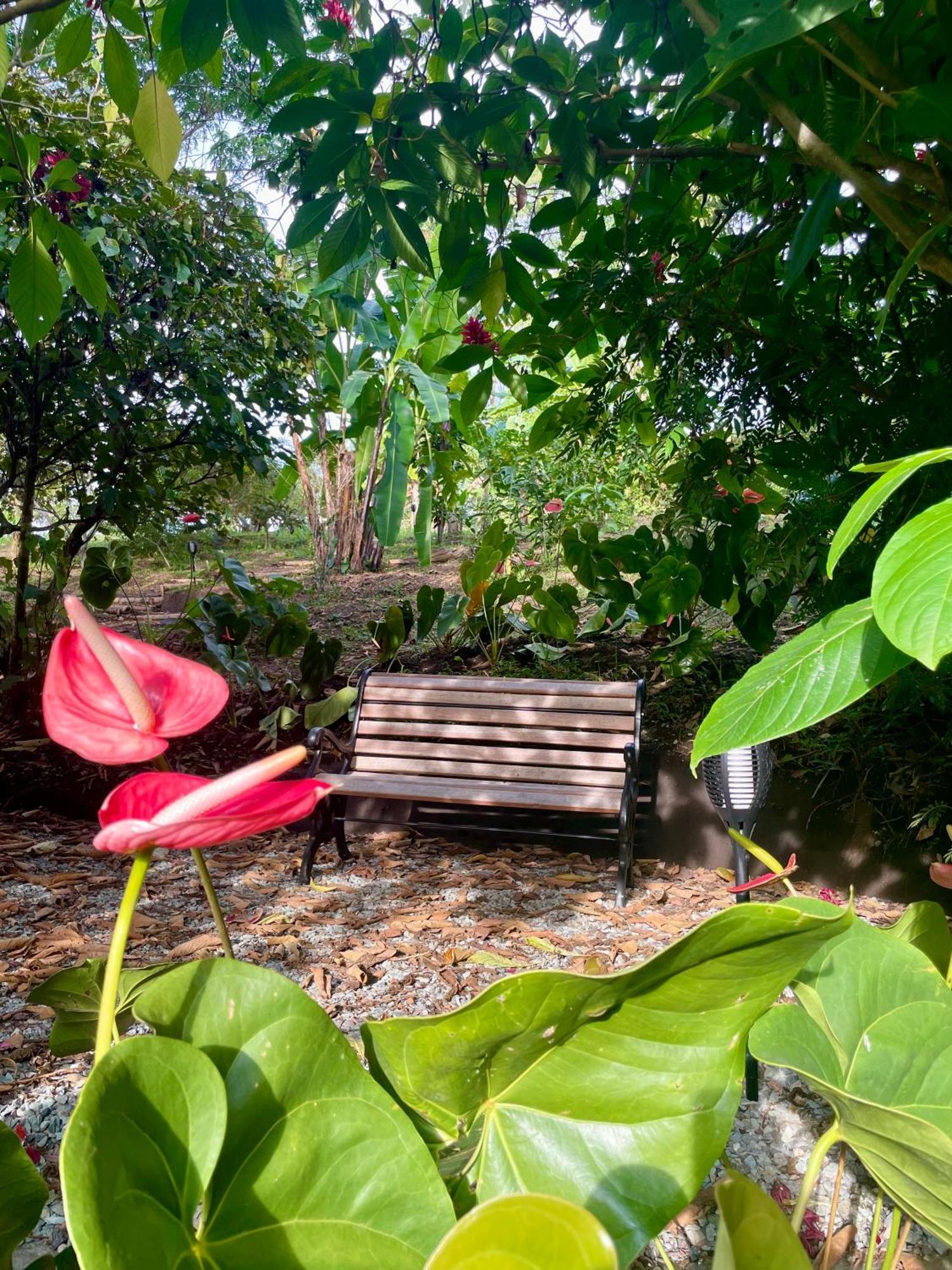 Ecohotel Alma Hotel